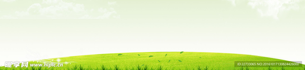草地背景banner