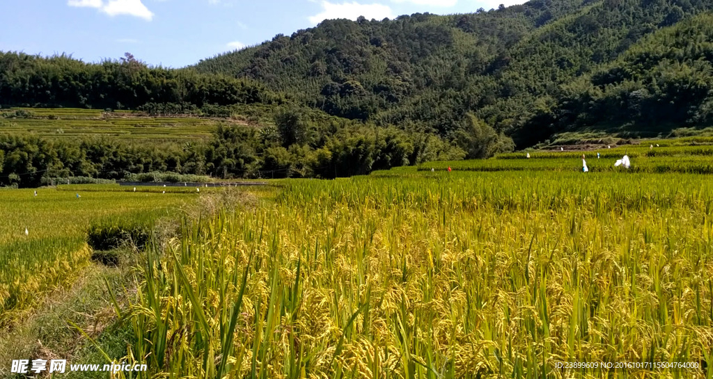 大风吹动的山川田野 延时摄影