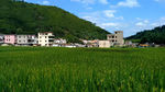 晴空下的乡村田野 延时摄影