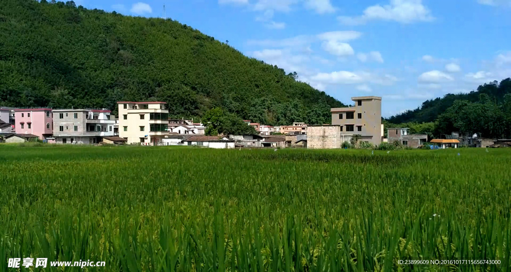 晴空下的乡村田野 延时摄影