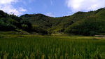 山川的梯田 延时摄影