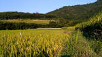 黄昏的山川田野 延时摄影