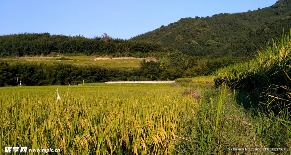 黄昏的山川田野 延时摄影