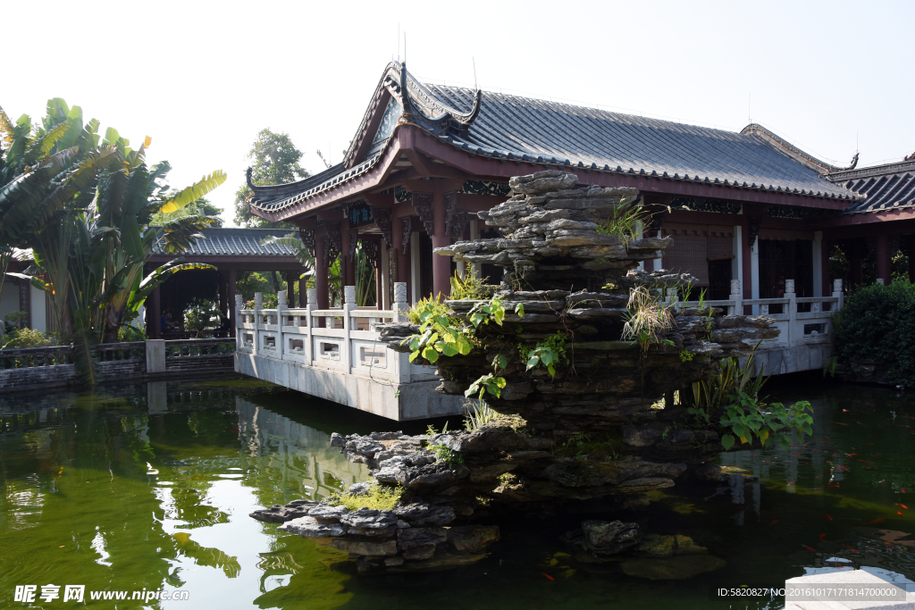 公园 假山 鲤鱼 古建筑