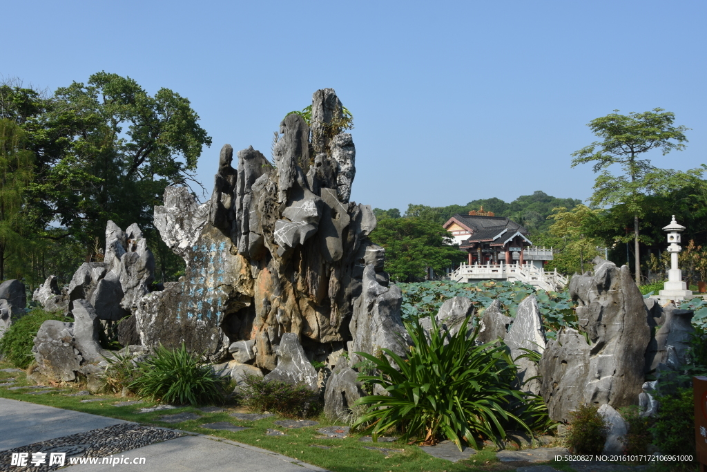 公园假山