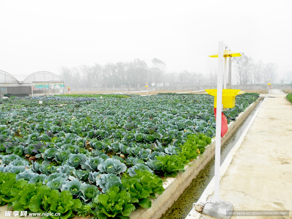 佳多频振式太阳能杀虫灯