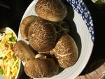 香菇豆沙包