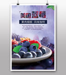 蓝莓水果海报