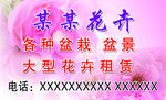 花卉名片