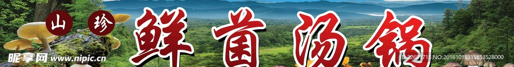 鲜菌