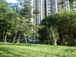 小区风景