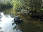 小区里的小河流