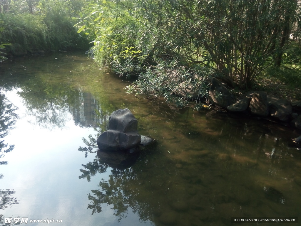 小区里的小河流