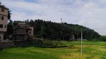乡村田野