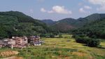 乡村田野