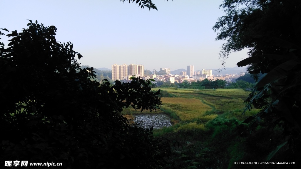 乡村田野