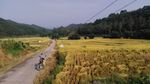 山川的田野