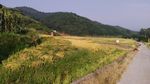 山川的田野