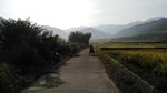 山川的田野