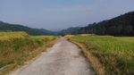山川的田野