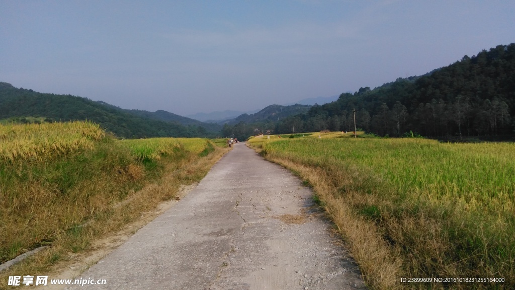 山川的田野