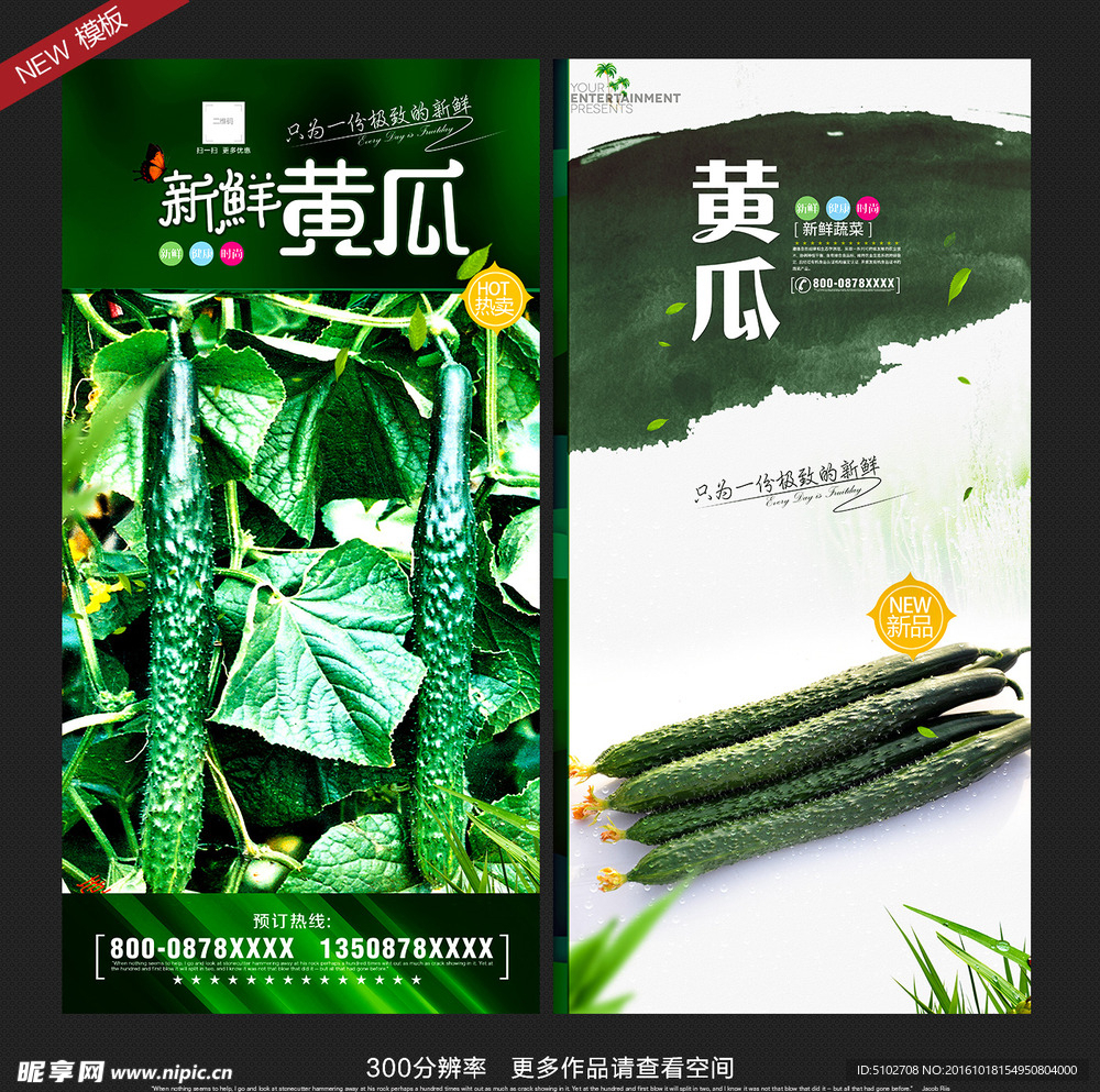 黄瓜