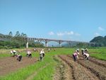 蒙山县风光