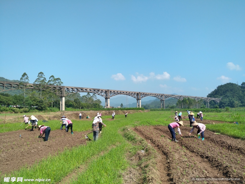 蒙山县风光