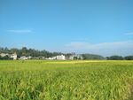 陆川县风光