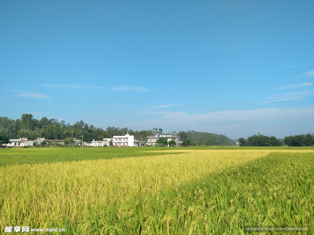 谢鲁山庄坐落在陆川县乌石镇谢鲁村|谢鲁|谢鲁山庄|乌石镇_新浪新闻