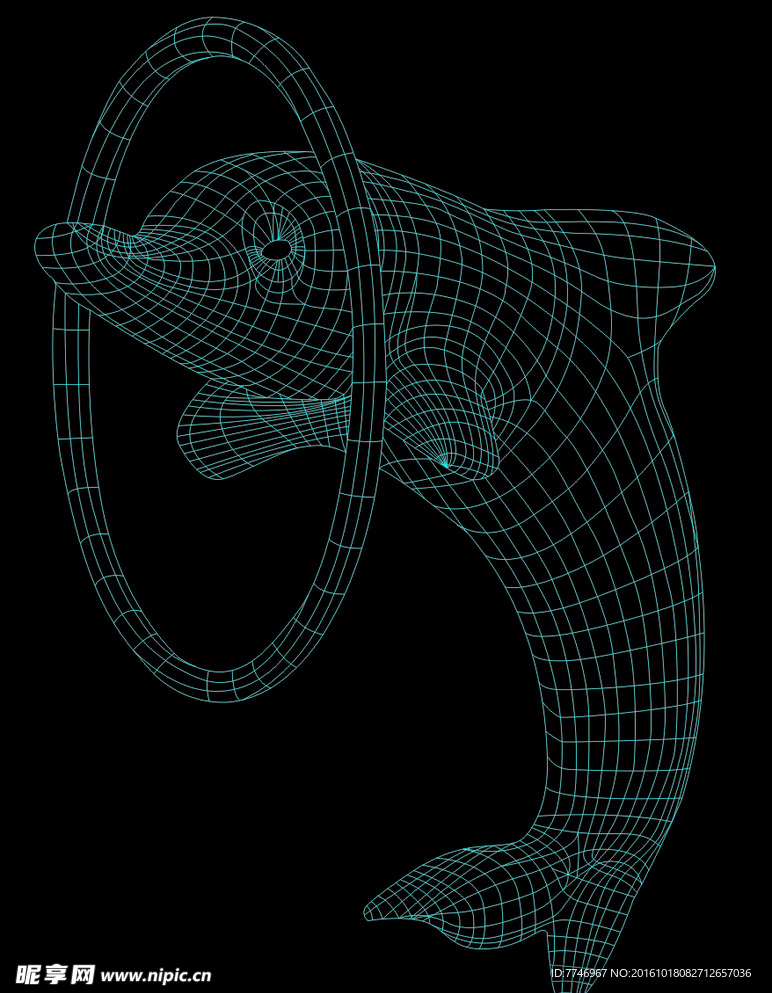 3d立体海豚