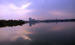 广州海珠湿地公园