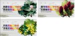 文明创建