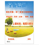 中小学培训宣传海报单页