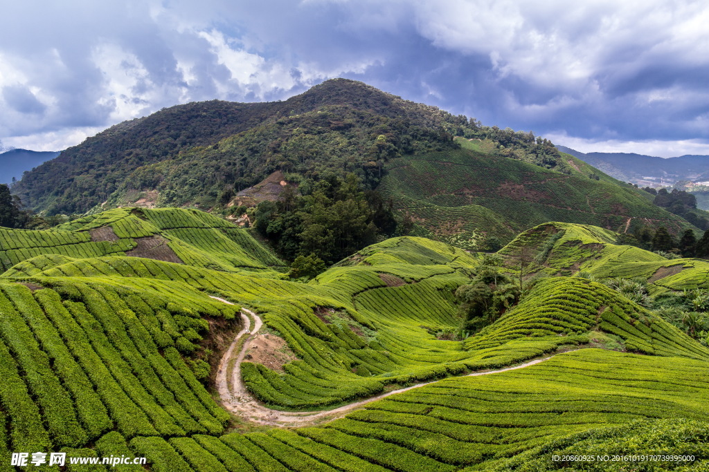 高山景色图片