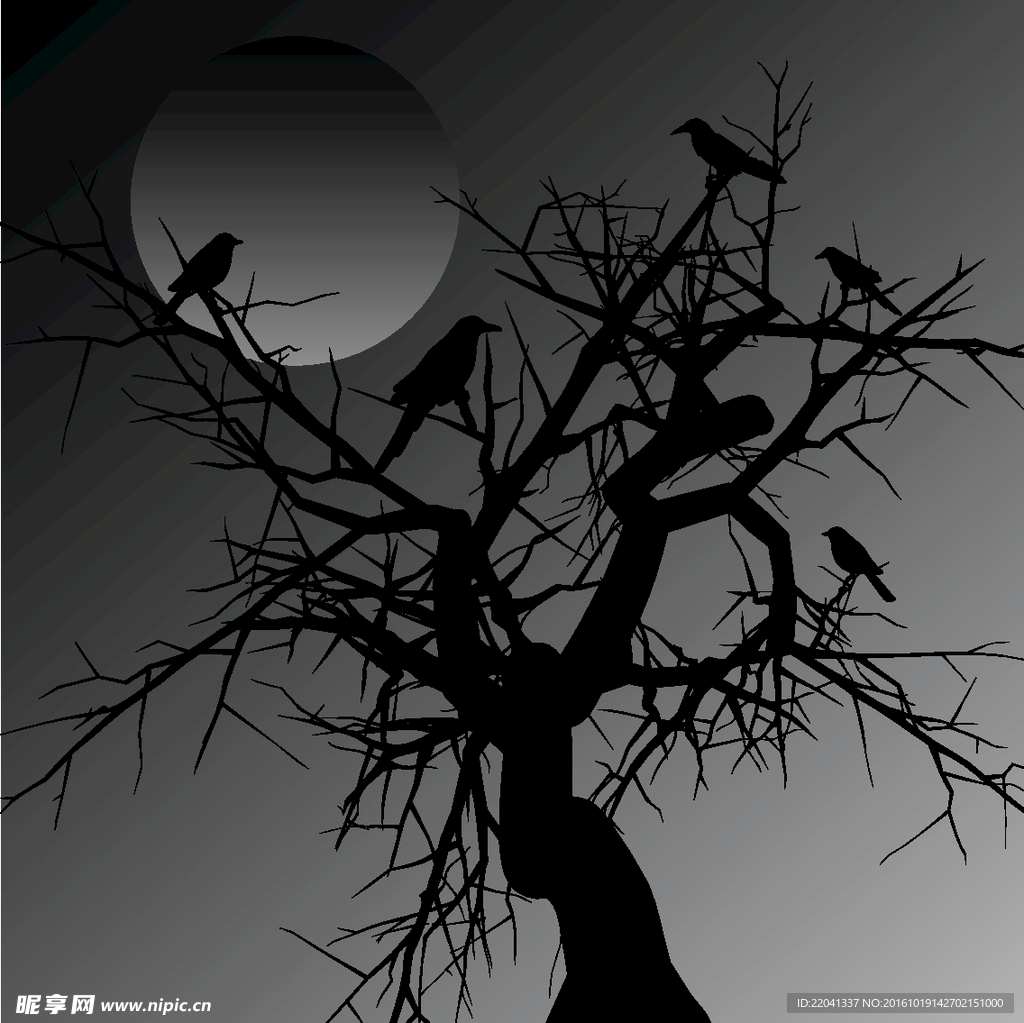 夜深鸟栖
