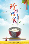炫彩珍惜粮食海报