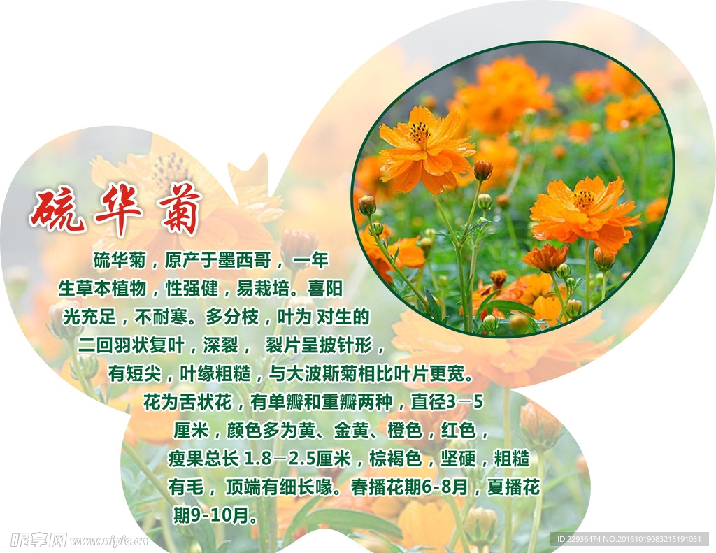 写真喷绘
