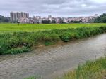 田园小河