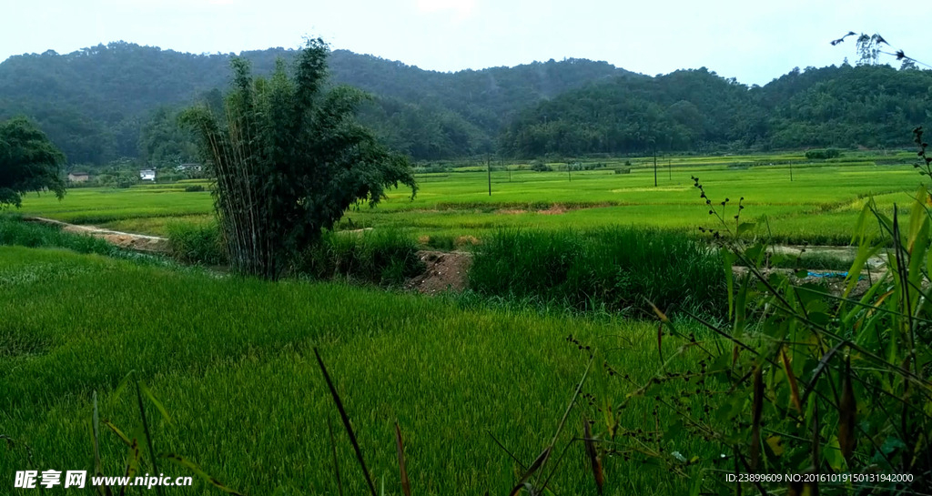 雨天的山川田野 延时摄影