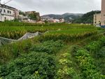 雨天的乡村田野