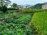 雨天的乡村田野