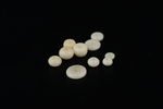 纯天然象牙果隔珠散珠