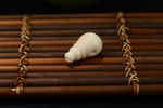 天然象牙果一体式三通