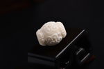 纯天然象牙果菩提回纹云纹桶珠