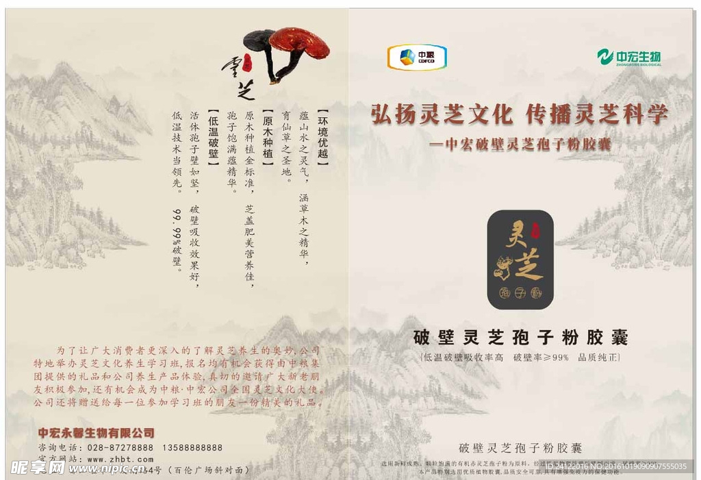 灵芝养身