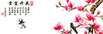 玉兰花 花开富贵 三连壁画