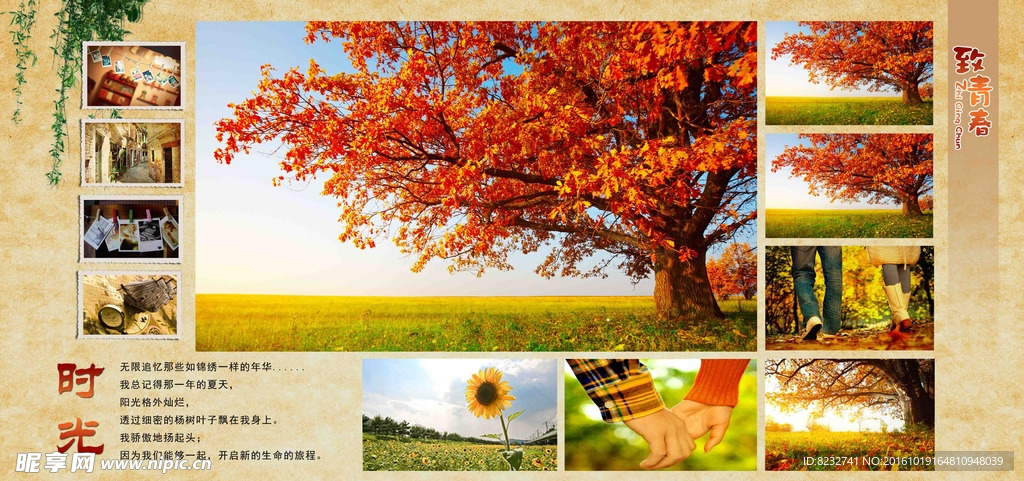 时光 树林 大树 公园 青春
