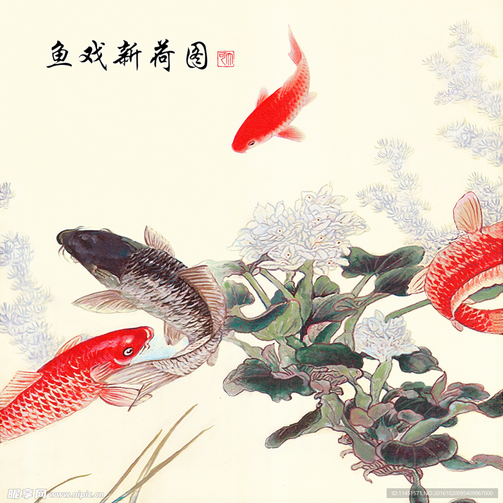 鱼系新荷图