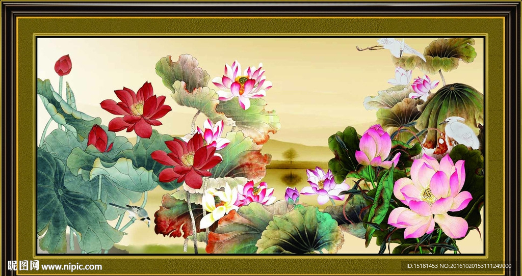 荷花图